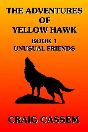 Book cover of The Adventures of Yellow Hawk: Book 1 - Unusual Friends