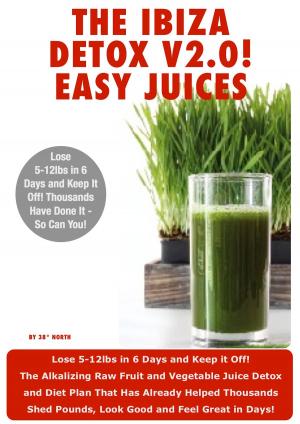 Cover of the book Ibiza Detox Diet Plan V2.0! Easy Juices 2013 by Yvonne Quinones Syto