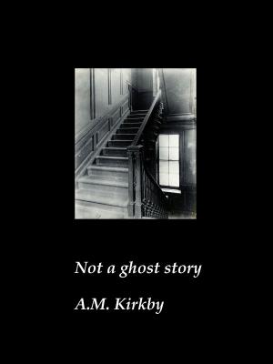 Book cover of Not a Ghost Story