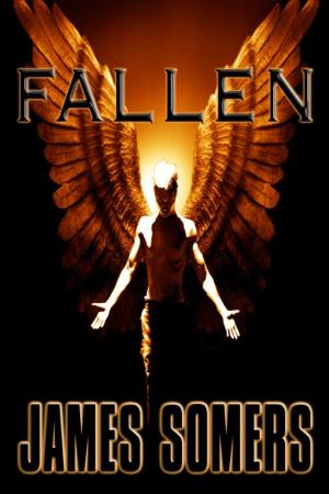 Cover of the book Fallen by Rebecca Hartley-Wright