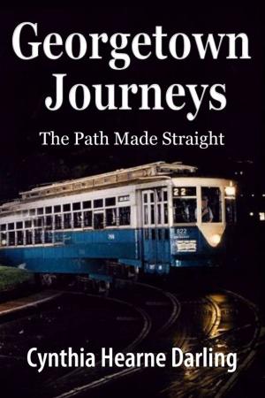 Cover of the book Georgetown Journeys: The Path Made Straight by Volker Friebel