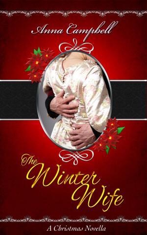 Cover of the book The Winter Wife: A Christmas Novella by JF Ridgley