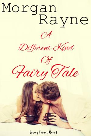Book cover of A Different Kind of Fairy Tale