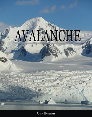 Cover of the book Avalanche by John Lee