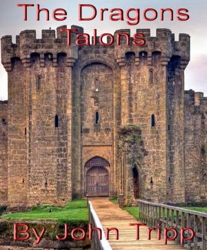 Cover of The Dragons Talons