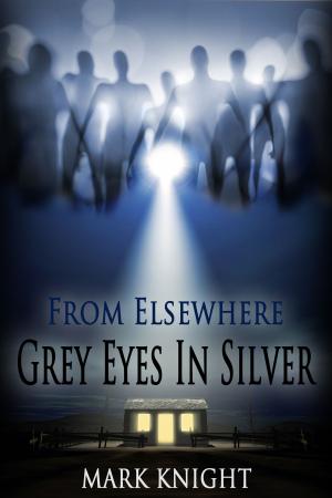 Cover of the book Grey Eyes In Silver by Cathy Perkins