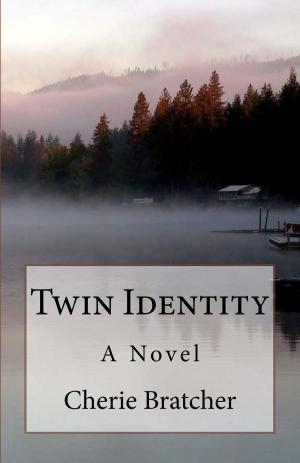 Cover of the book Twin Identity by Mark Draycott