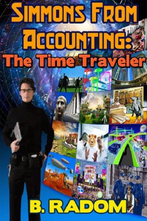 Book cover of Simmons from Accounting: the Time Traveler