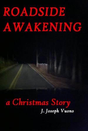Cover of the book Roadside Awakening by Tiffany Flowers
