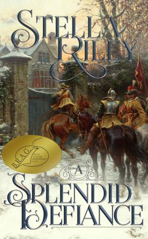 bigCover of the book A Splendid Defiance by 