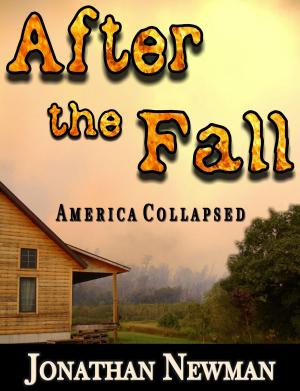 Cover of the book After the Fall by Ray Jaxome