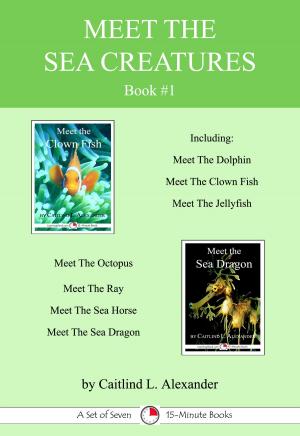 Cover of the book Meet The Sea Creatures Book #1 by Jeannie Meekins