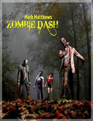 Book cover of Zombie Dash