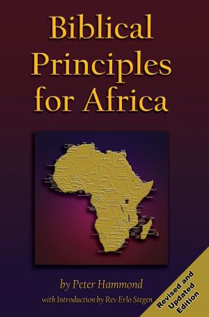 bigCover of the book Biblical Principles for Africa by 