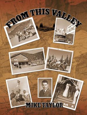 Cover of From This Valley