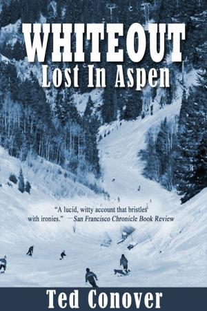 Cover of Whiteout: Lost In Aspen
