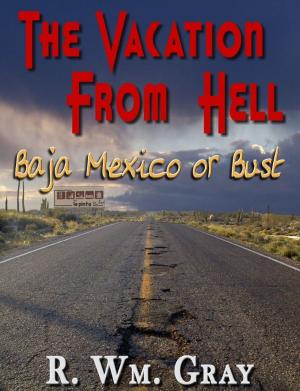 Cover of "The Vacation From Hell" (Baja Mexico Or Bust)