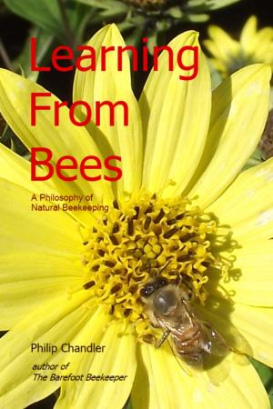 Cover of the book Learning From Bees: a philosophy of natural beekeeping by K.J. Pierce