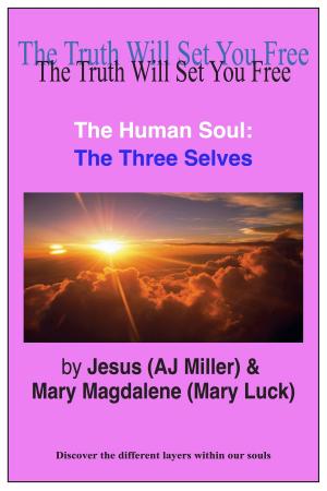 Book cover of The Human Soul: The Three Selves