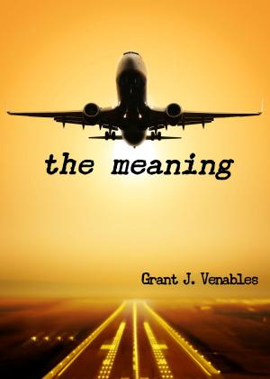 Book cover of The Meaning