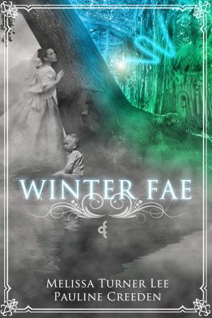 Book cover of Winter Fae