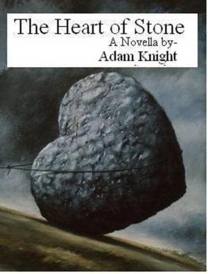 Book cover of The Heart of Stone
