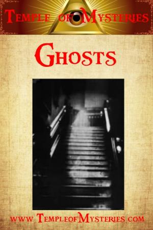 Cover of the book Ghosts: The Truth by Christopher Dunn