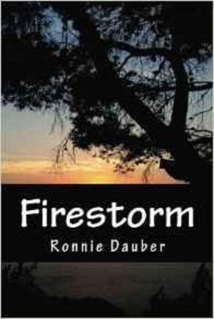Cover of the book Firestorm by Ronnie Dauber