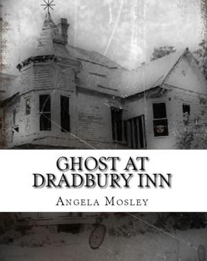 Cover of the book Ghost at Dradbury Inn by Angela Fiddler
