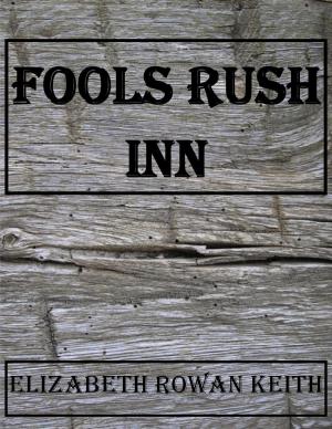 Book cover of Fools Rush Inn