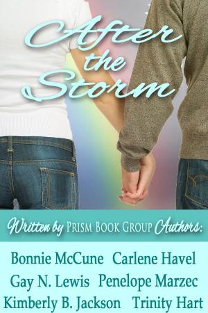 Cover of the book After the Storm by Sharon McGregor