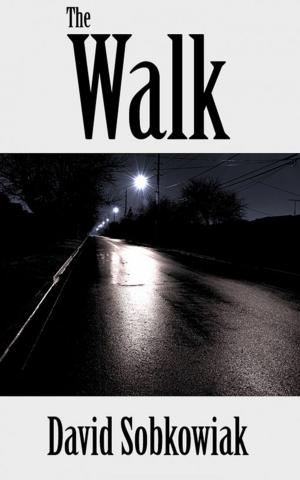 Cover of the book The Walk by Angie Damaris Páez Moreno, Camilo Cetina Cano