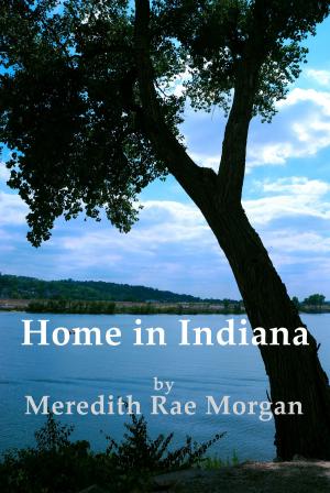 Cover of the book Home In Indiana by Clara Fox