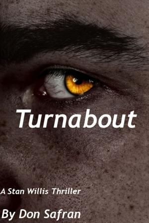 Cover of the book Turnabout by Nicola Vallera