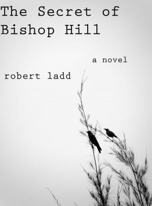 Cover of the book The Secret of Bishop Hill by Liza Perrat