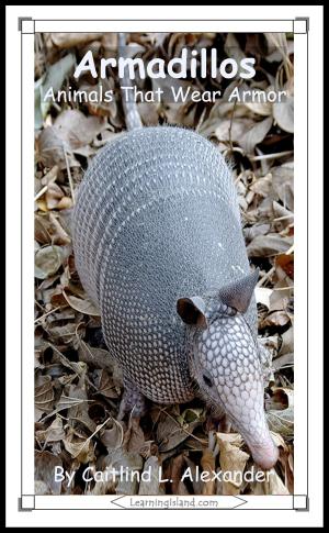 Cover of the book Armadillos: Animals That Wear Armor by Jeannie Meekins