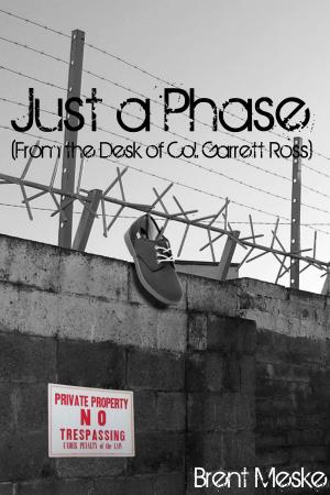 Cover of Just A Phase (From the Desk of Col. Garrett Ross) by Brent Meske, Brent Meske