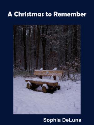 Cover of the book A Christmas to Remember by Sophia DeLuna