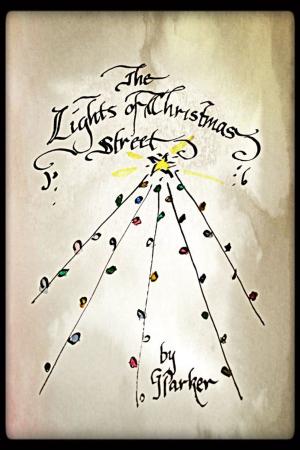 Cover of the book The Lights of Christmas Street by Dana Trantham