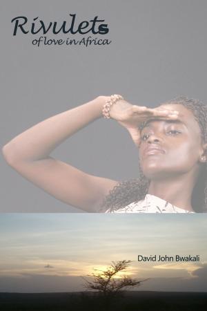 Cover of the book Rivulets of Love in Africa by David John