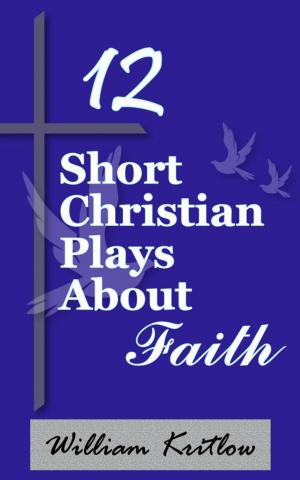 Book cover of 12 Short Christian Plays about Faith