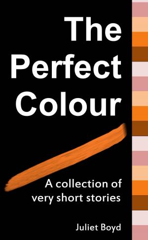 Cover of the book The Perfect Colour: A collection of very short stories by Juliet Boyd