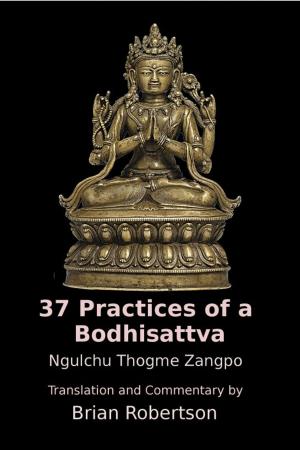 Cover of the book 37 Practices of a Bodhisattva: The Way of an Awakening Being by Joey Lott