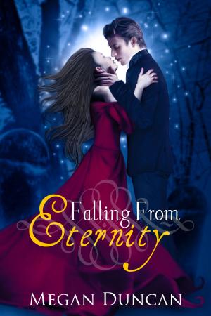 Book cover of Falling From Eternity (A Paranormal Love Story)