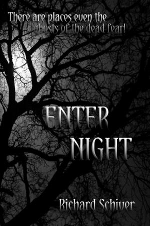 Cover of the book Enter Night by Keffy R.M. Kehrli