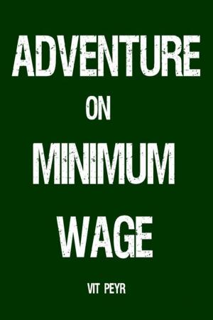 Cover of the book Adventure on Minimum Wage by Jon Doolan