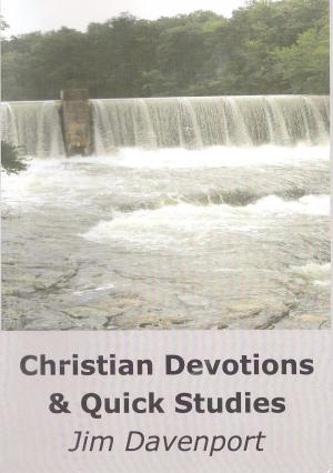 Cover of the book Christian Devotions & Quick Studies by Becky Enenche MD