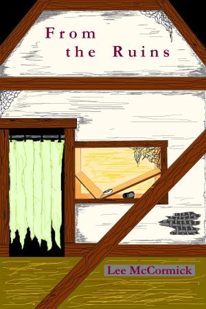 Book cover of From the Ruins