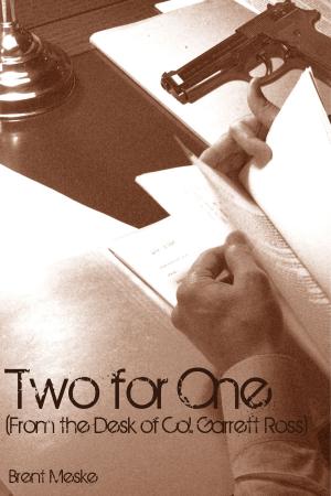 Cover of the book Two For One (From the Desk of Col. Garrett Ross) by Kevin J. Anderson, Bard Constantine, R. A. McCandless, Briana Forney, Roy C. Booth, Axel Kohagen, Brian Woods, R. W. Ware, David Stegora, Kenneth Olson, M. M. Schill, Naching T. Kassa, Elenore Audley, Druscilla Morgan, Shane Porteous, Michael Shimek, Donna Marie West, Adrian Ludens, Kerry G. S. Lipp, Scott Spinks, Cynthia Booth