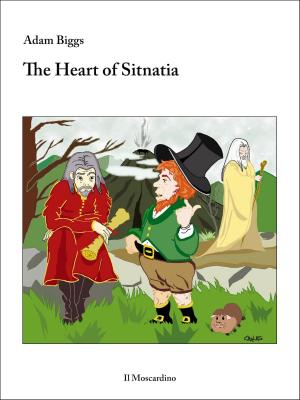 Cover of the book The Heart of Sitnatia by Twyla Turner